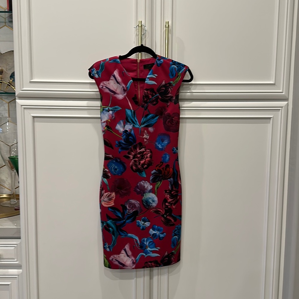 Ted Baker Dress
